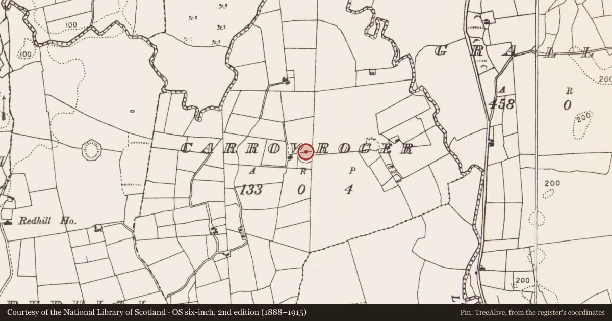 Ordnance Survey six-inch map, 2nd edition (1888–1915) covering the location of Ringfort - rath, Carrowroger, County Mayo, with a pin at the register's coordinates