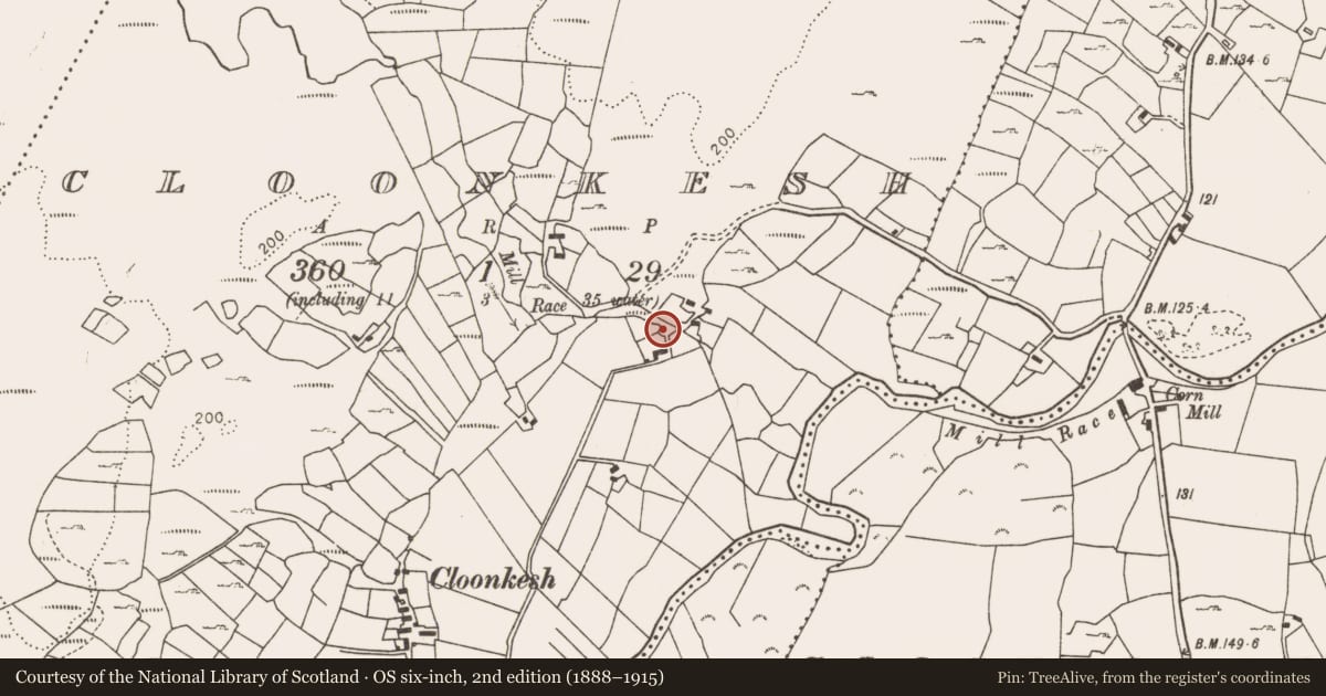Ordnance Survey six-inch map, 2nd edition (1888–1915) covering the location of Mill - corn, Cloonkesh, County Mayo, with a pin at the register's coordinates