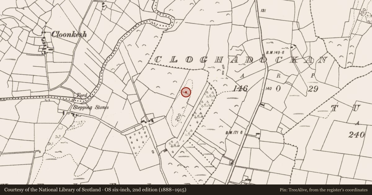 Ordnance Survey six-inch map, 2nd edition (1888–1915) covering the location of Ringfort - unclassified, Rockfield, County Mayo, with a pin at the register's coordinates