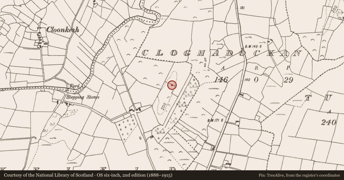 Ordnance Survey six-inch map, 2nd edition (1888–1915) covering the location of Souterrain, Rockfield, County Mayo, with a pin at the register's coordinates