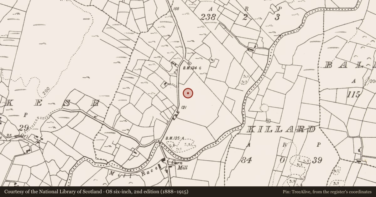 Ordnance Survey six-inch map, 2nd edition (1888–1915) covering the location of Children's burial ground, Cloonnagleragh, County Mayo, with a pin at the register's coordinates