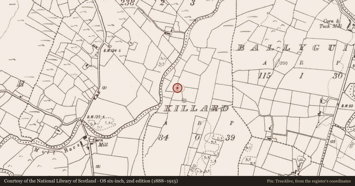Ordnance Survey six-inch map, 2nd edition (1888–1915) covering the location of Ringfort - rath, Killard, County Mayo, with a pin at the register's coordinates
