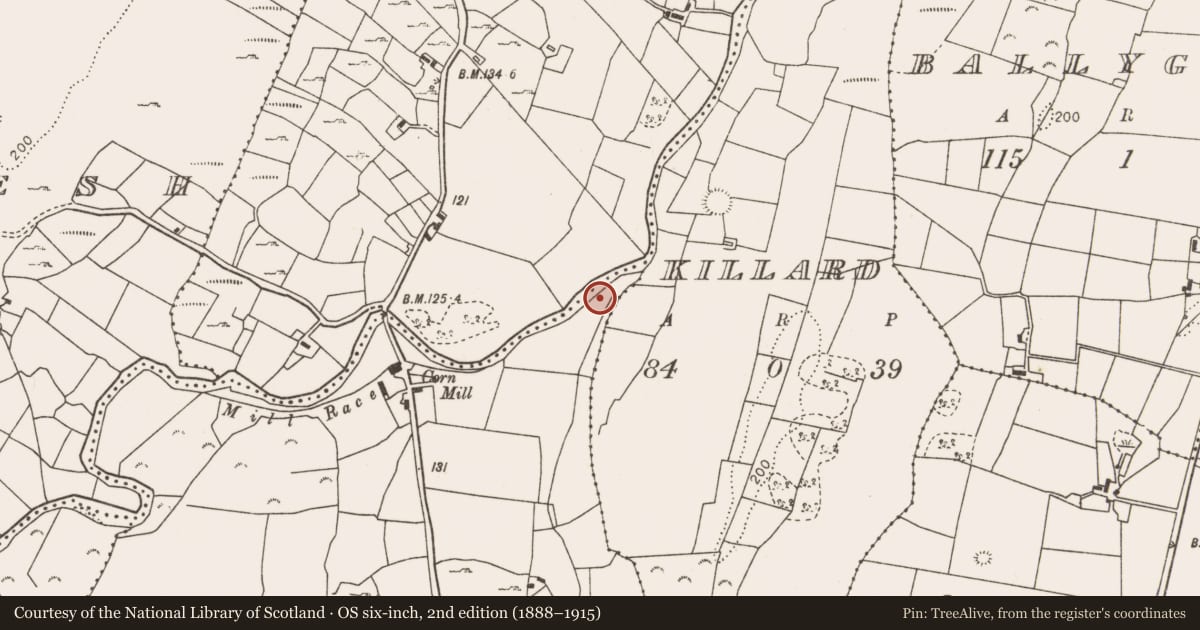 Ordnance Survey six-inch map, 2nd edition (1888–1915) covering the location of Fulacht fia, Cloghadockan, County Mayo, with a pin at the register's coordinates