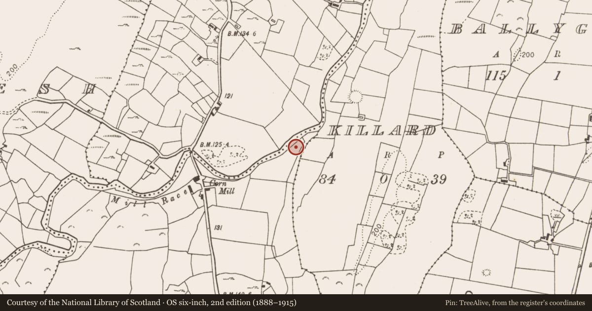Ordnance Survey six-inch map, 2nd edition (1888–1915) covering the location of Fulacht fia, Cloghadockan, County Mayo, with a pin at the register's coordinates