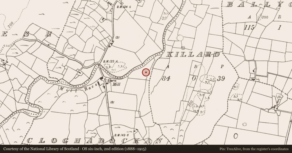 Ordnance Survey six-inch map, 2nd edition (1888–1915) covering the location of Fulacht fia, Cloghadockan, County Mayo, with a pin at the register's coordinates