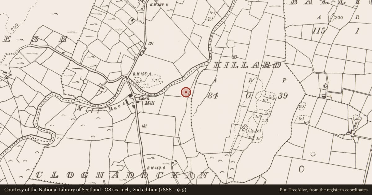 Ordnance Survey six-inch map, 2nd edition (1888–1915) covering the location of Fulacht fia, Cloghadockan, County Mayo, with a pin at the register's coordinates