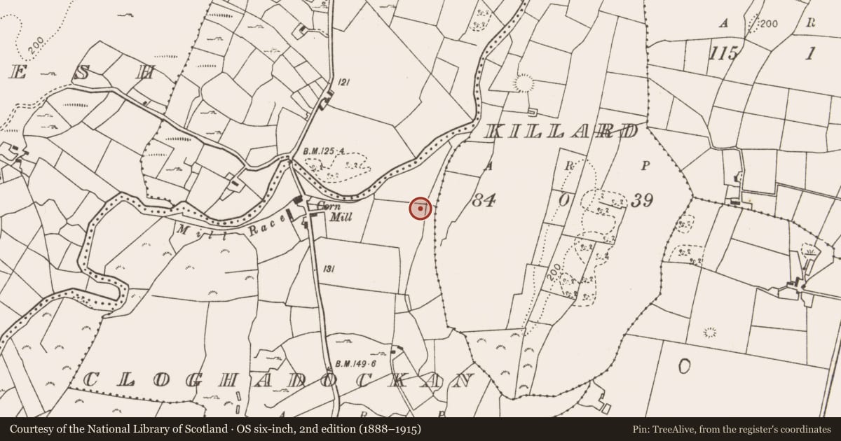Ordnance Survey six-inch map, 2nd edition (1888–1915) covering the location of Fulacht fia, Cloghadockan, County Mayo, with a pin at the register's coordinates