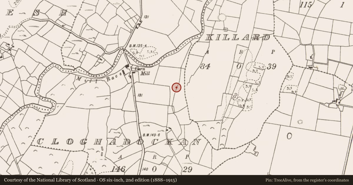 Ordnance Survey six-inch map, 2nd edition (1888–1915) covering the location of Fulacht fia, Cloghadockan, County Mayo, with a pin at the register's coordinates
