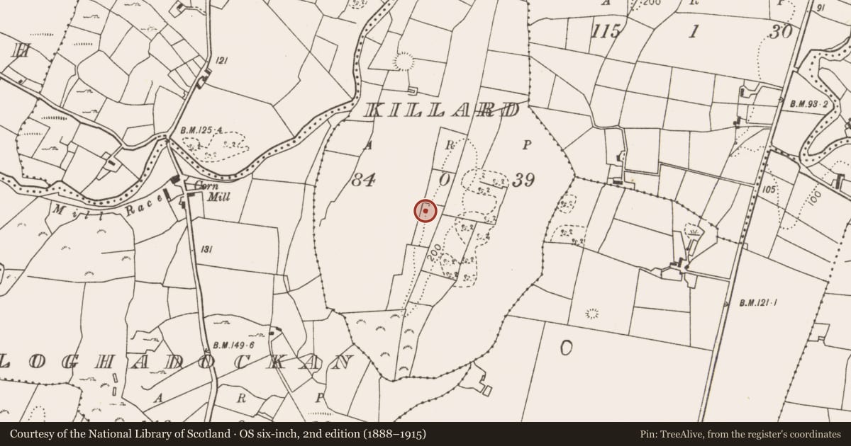 Ordnance Survey six-inch map, 2nd edition (1888–1915) covering the location of Ringfort - unclassified, Killard, County Mayo, with a pin at the register's coordinates
