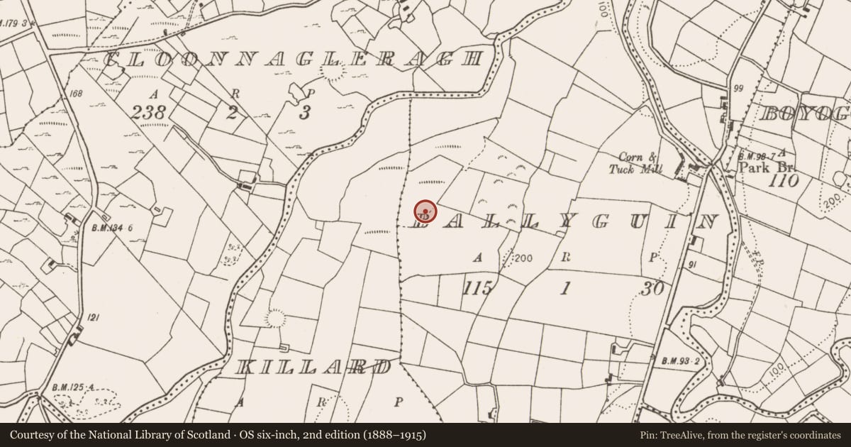 Ordnance Survey six-inch map, 2nd edition (1888–1915) covering the location of Fulacht fia, Ballyguin, County Mayo, with a pin at the register's coordinates