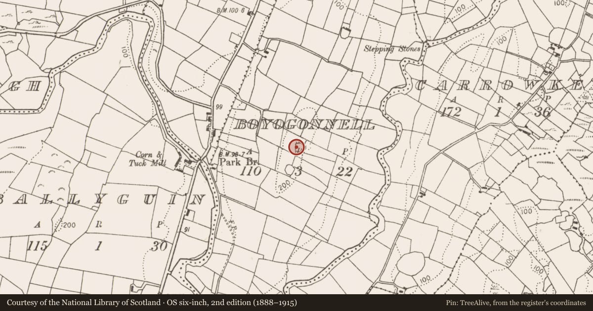Ordnance Survey six-inch map, 2nd edition (1888–1915) covering the location of Ringfort - rath, Boyogonnell, County Mayo, with a pin at the register's coordinates