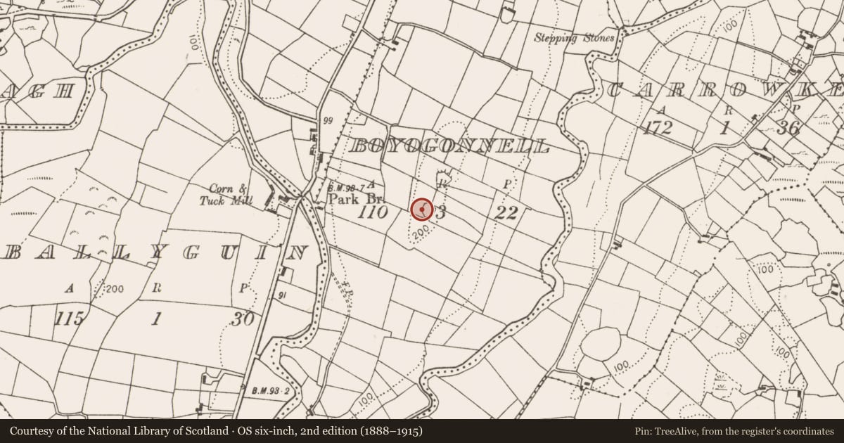 Ordnance Survey six-inch map, 2nd edition (1888–1915) covering the location of Ringfort - rath, Boyogonnell, County Mayo, with a pin at the register's coordinates