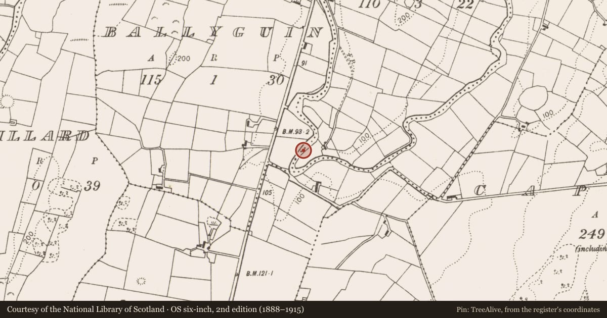 Ordnance Survey six-inch map, 2nd edition (1888–1915) covering the location of Water mill - horizontal-wheeled, Boyogonnell, County Mayo, with a pin at the register's coordinates