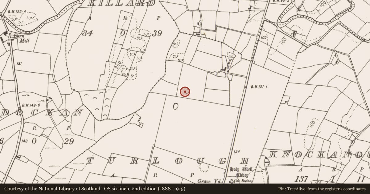 Ordnance Survey six-inch map, 2nd edition (1888–1915) covering the location of Enclosure, Turlough, County Mayo, with a pin at the register's coordinates