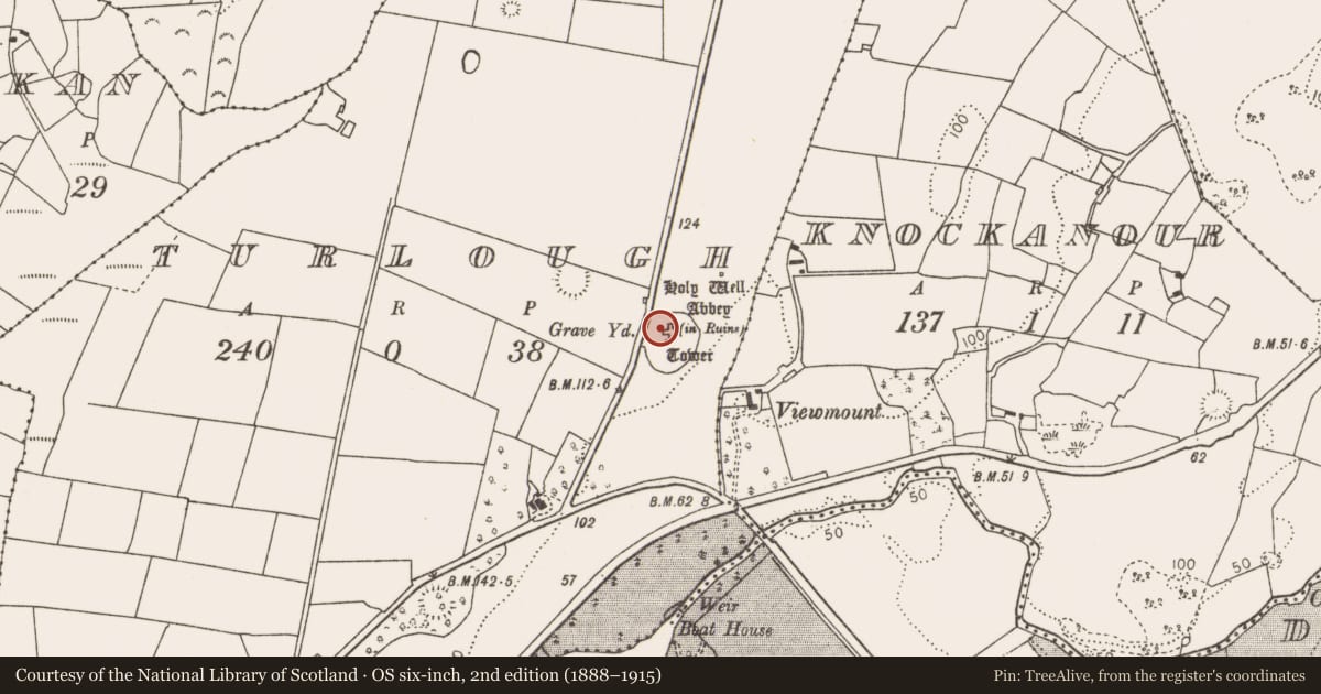 Ordnance Survey six-inch map, 2nd edition (1888–1915) covering the location of Graveslab, Turlough, County Mayo, with a pin at the register's coordinates