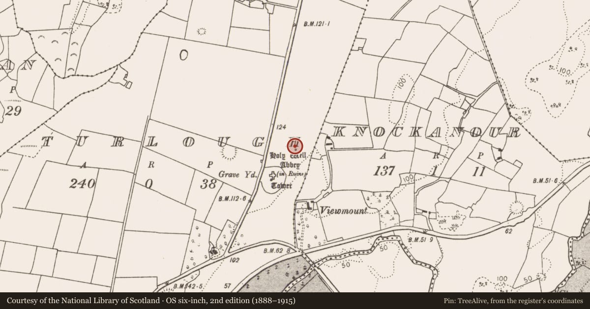 Ordnance Survey six-inch map, 2nd edition (1888–1915) covering the location of Ritual site - holy well, Turlough, County Mayo, with a pin at the register's coordinates