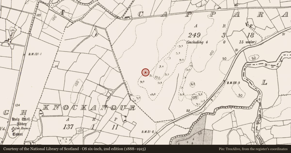 Ordnance Survey six-inch map, 2nd edition (1888–1915) covering the location of Fulacht fia, Capparanny, County Mayo, with a pin at the register's coordinates