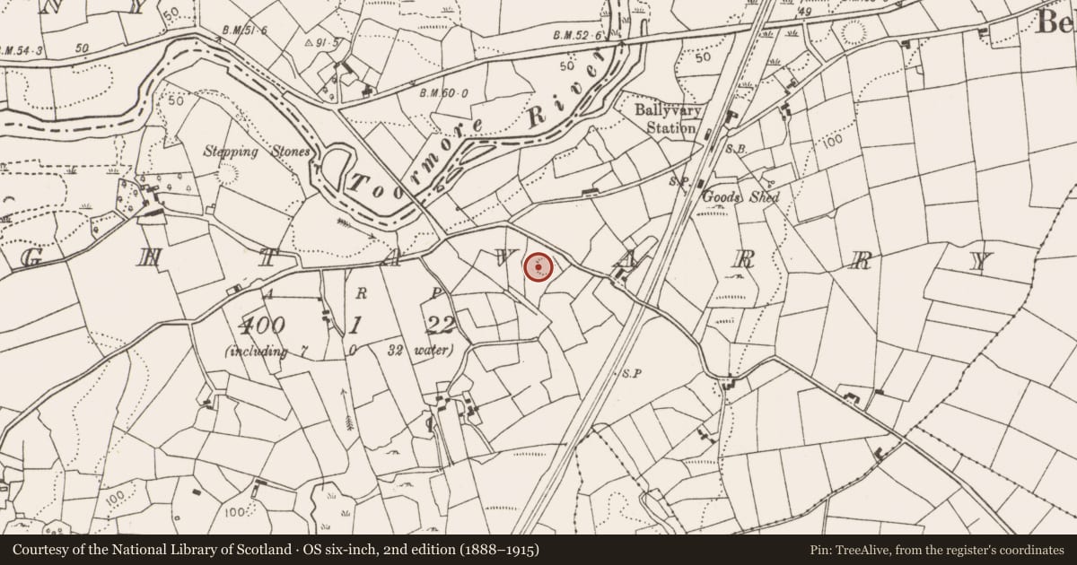 Ordnance Survey six-inch map, 2nd edition (1888–1915) covering the location of Barrow - unclassified, Laghtavarry, County Mayo, with a pin at the register's coordinates