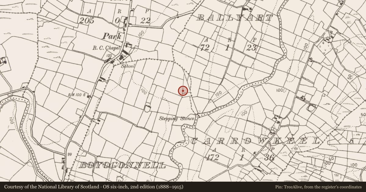 Ordnance Survey six-inch map, 2nd edition (1888–1915) covering the location of Fulacht fia, Boyogonnell, County Mayo, with a pin at the register's coordinates