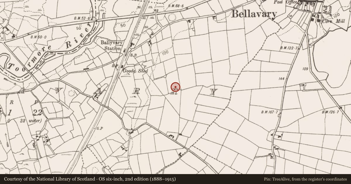Ordnance Survey six-inch map, 2nd edition (1888–1915) covering the location of Ringfort - rath, Laghtavarry, County Mayo, with a pin at the register's coordinates