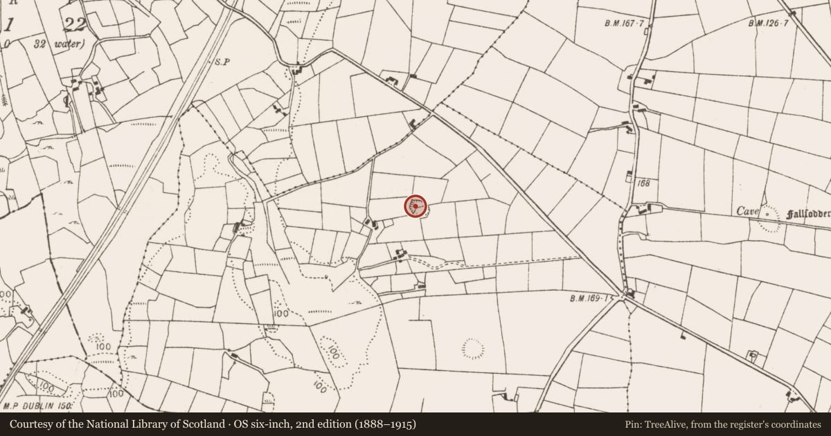 Ordnance Survey six-inch map, 2nd edition (1888–1915) covering the location of Ringfort - rath, Killeen (Gallen By., Kildacommoge Par.), County Mayo, with a pin at the register's coordinates