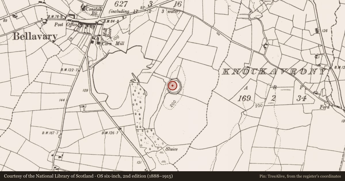 Ordnance Survey six-inch map, 2nd edition (1888–1915) covering the location of Enclosure, Bellavary, County Mayo, with a pin at the register's coordinates