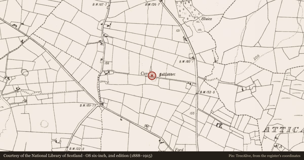 Ordnance Survey six-inch map, 2nd edition (1888–1915) covering the location of Enclosure, Bellavary, County Mayo, with a pin at the register's coordinates