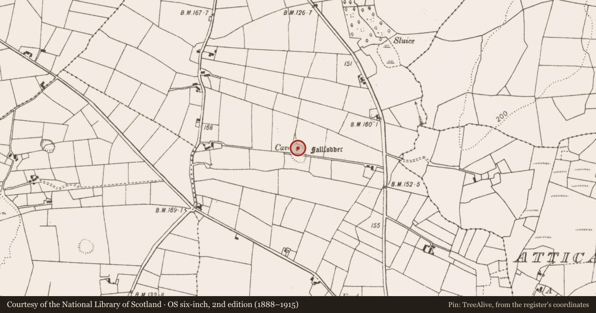Ordnance Survey six-inch map, 2nd edition (1888–1915) covering the location of Souterrain, Bellavary, County Mayo, with a pin at the register's coordinates