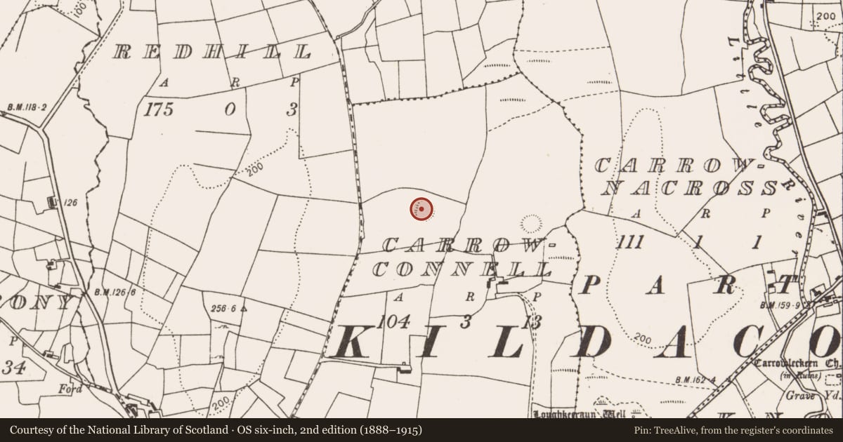 Ordnance Survey six-inch map, 2nd edition (1888–1915) covering the location of Ringfort - rath, Carrowconnell, County Mayo, with a pin at the register's coordinates