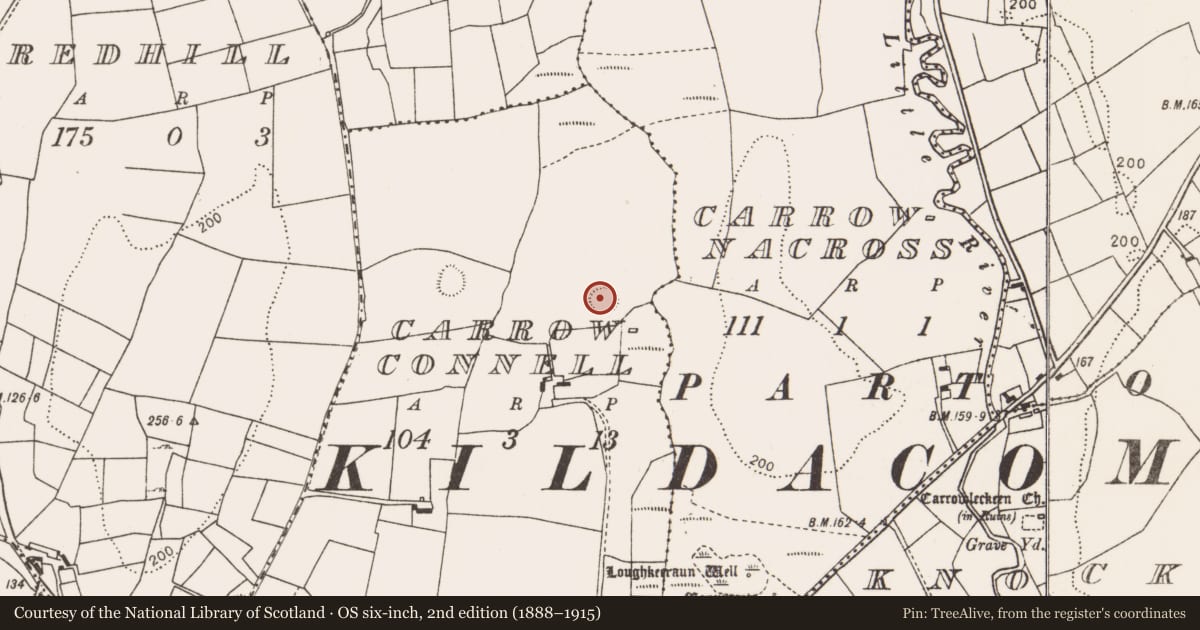 Ordnance Survey six-inch map, 2nd edition (1888–1915) covering the location of Enclosure, Carrowconnell, County Mayo, with a pin at the register's coordinates