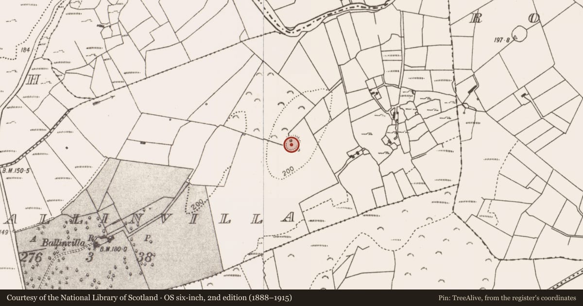 Ordnance Survey six-inch map, 2nd edition (1888–1915) covering the location of Ringfort - rath, Ballinvilla, County Mayo, with a pin at the register's coordinates