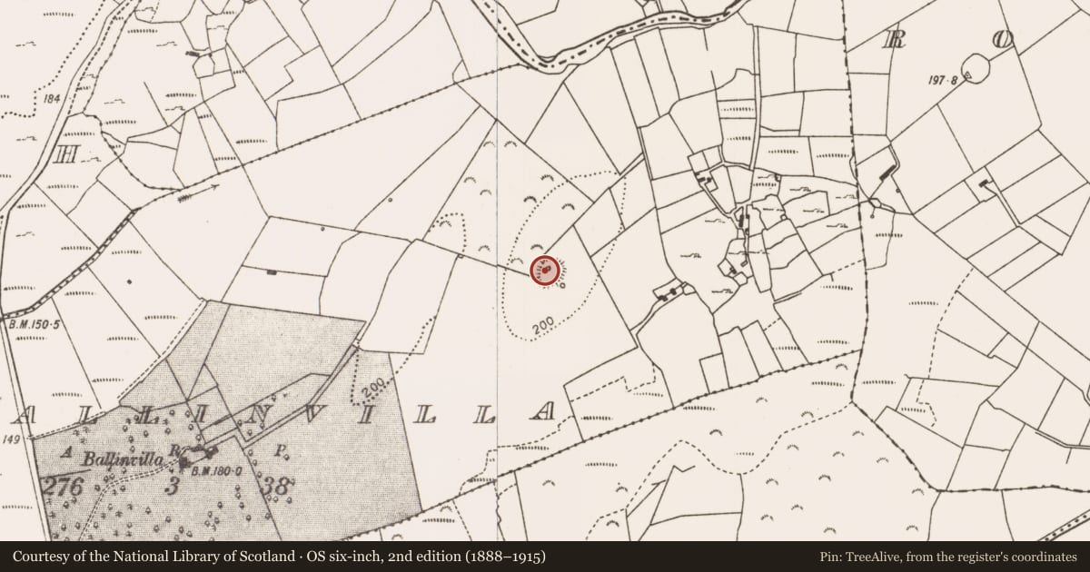 Ordnance Survey six-inch map, 2nd edition (1888–1915) covering the location of Souterrain, Ballinvilla, County Mayo, with a pin at the register's coordinates