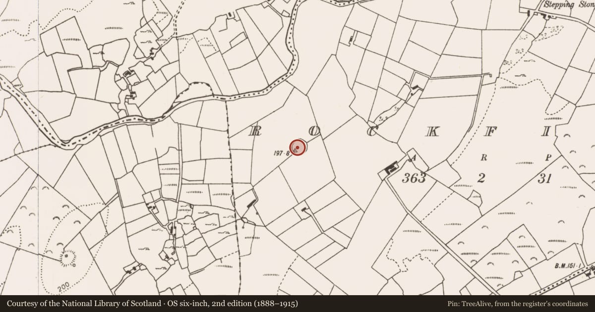 Ordnance Survey six-inch map, 2nd edition (1888–1915) covering the location of Ringfort - rath, Rockfield, County Mayo, with a pin at the register's coordinates