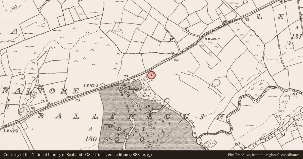 Ordnance Survey six-inch map, 2nd edition (1888–1915) covering the location of Enclosure, Ballyneggin, County Mayo, with a pin at the register's coordinates