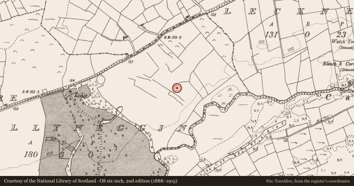 Ordnance Survey six-inch map, 2nd edition (1888–1915) covering the location of Enclosure, Ballyneggin, County Mayo, with a pin at the register's coordinates