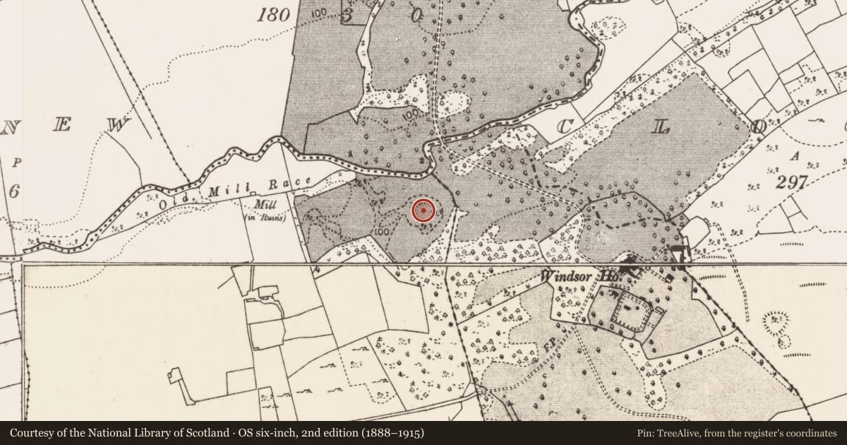 Ordnance Survey six-inch map, 2nd edition (1888–1915) covering the location of Enclosure, Liscromwell, County Mayo, with a pin at the register's coordinates