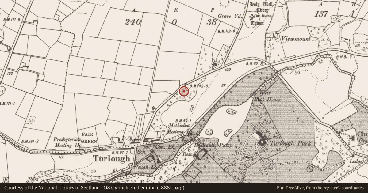 Ordnance Survey six-inch map, 2nd edition (1888–1915) covering the location of Ringfort - rath, Turlough, County Mayo, with a pin at the register's coordinates