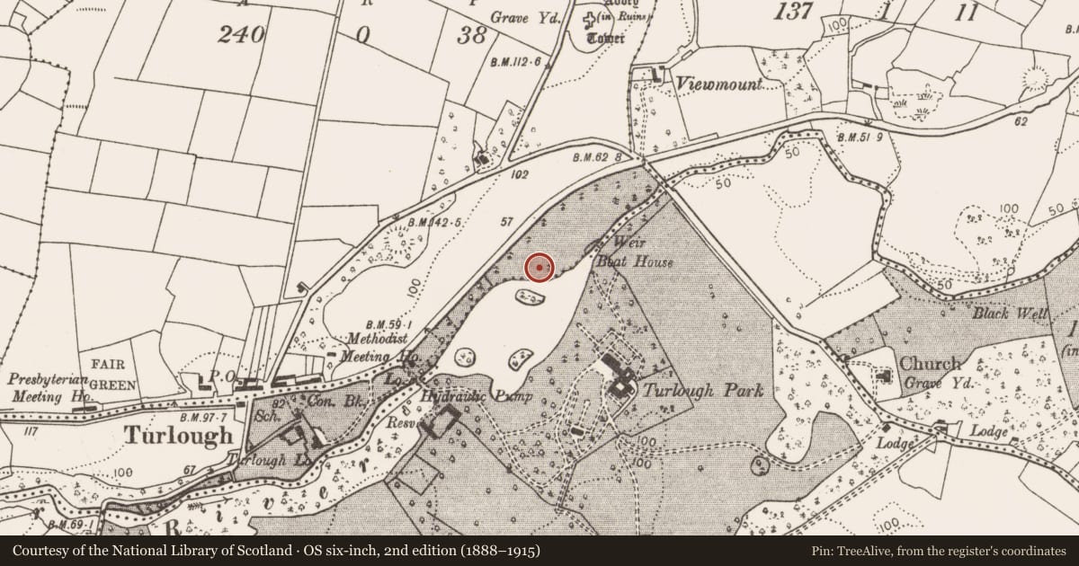 Ordnance Survey six-inch map, 2nd edition (1888–1915) covering the location of Castle - unclassified, Turlough, County Mayo, with a pin at the register's coordinates