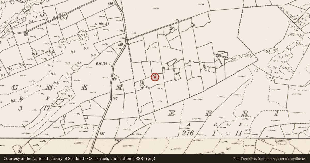 Ordnance Survey six-inch map, 2nd edition (1888–1915) covering the location of Ringfort - rath, Gortnafolla, County Mayo, with a pin at the register's coordinates