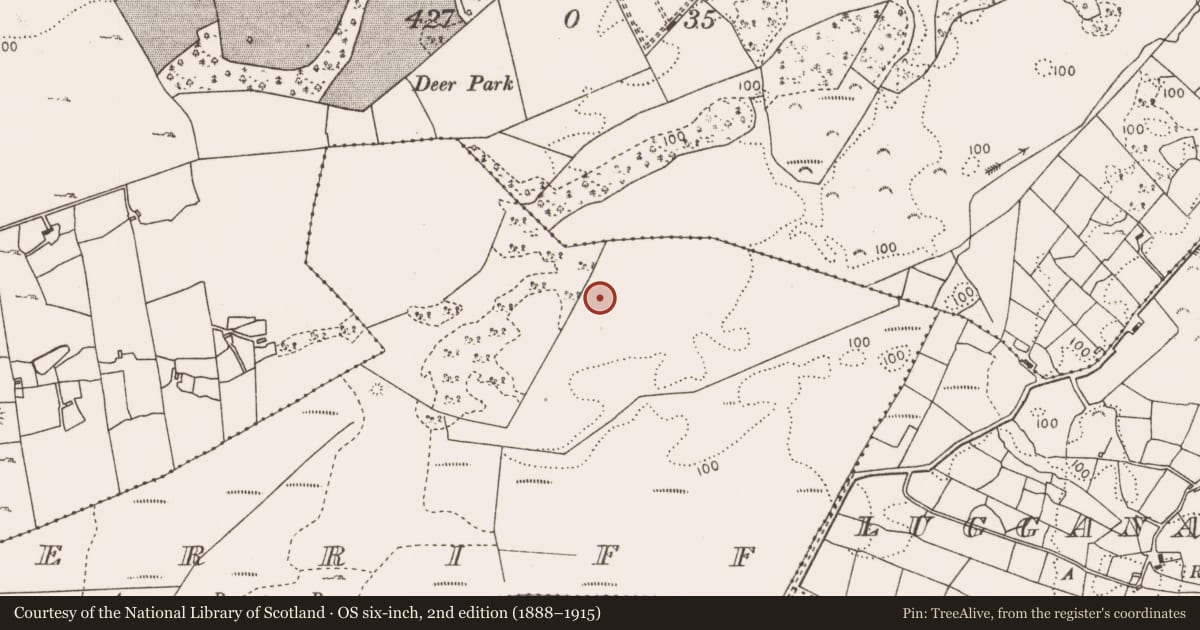 Ordnance Survey six-inch map, 2nd edition (1888–1915) covering the location of Enclosure, Erriff, County Mayo, with a pin at the register's coordinates