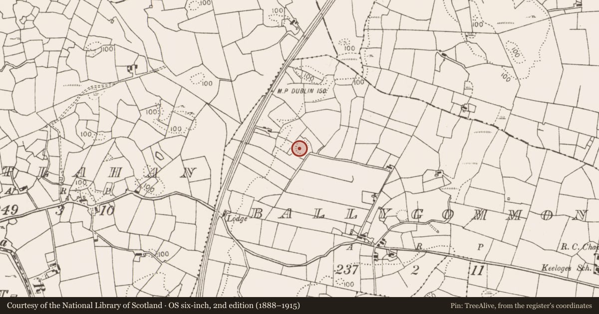 Ordnance Survey six-inch map, 2nd edition (1888–1915) covering the location of Enclosure, Ballygommon, County Mayo, with a pin at the register's coordinates