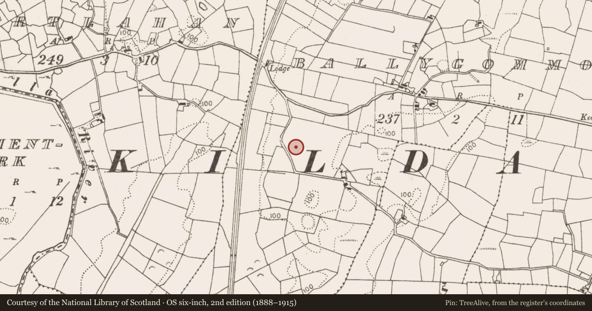 Ordnance Survey six-inch map, 2nd edition (1888–1915) covering the location of Enclosure, Ballygommon, County Mayo, with a pin at the register's coordinates