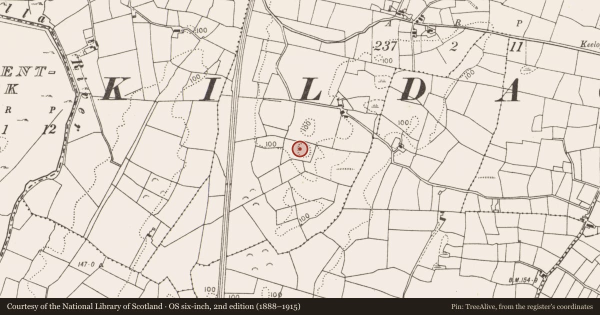 Ordnance Survey six-inch map, 2nd edition (1888–1915) covering the location of Enclosure, Ballygommon, County Mayo, with a pin at the register's coordinates