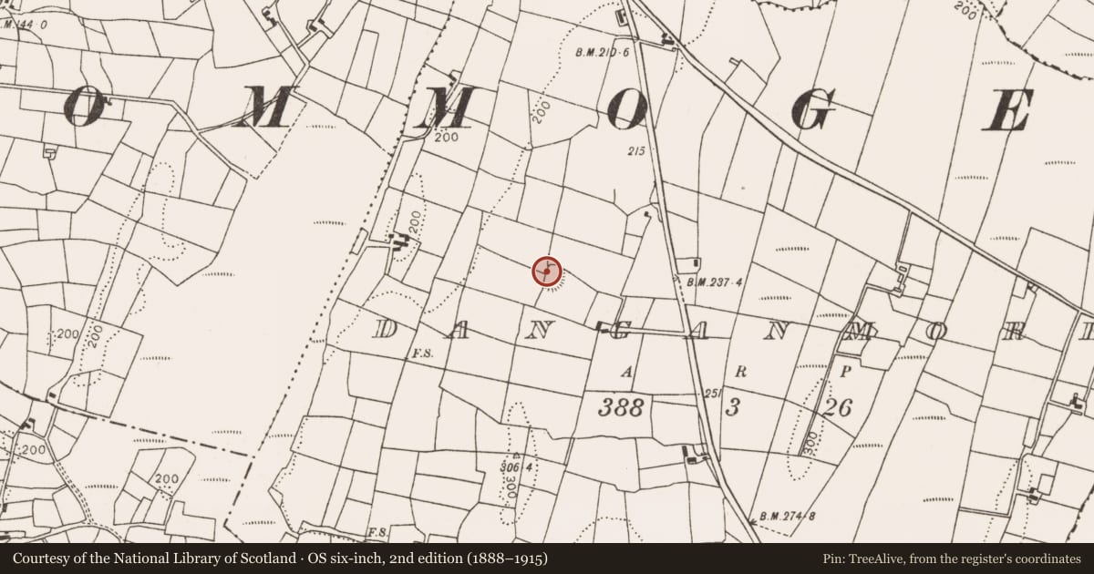 Ordnance Survey six-inch map, 2nd edition (1888–1915) covering the location of Enclosure, Danganmore, County Mayo, with a pin at the register's coordinates
