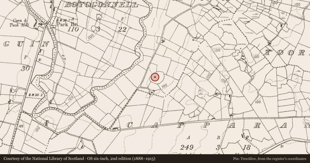 Ordnance Survey six-inch map, 2nd edition (1888–1915) covering the location of Enclosure, Carrowkeel (Carra By., Turlough Par.), County Mayo, with a pin at the register's coordinates