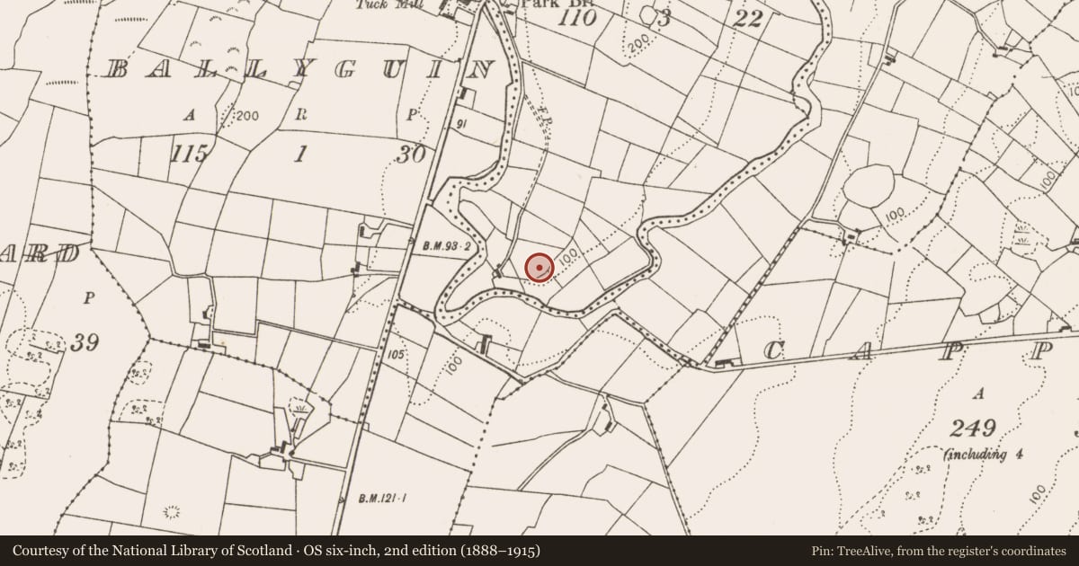 Ordnance Survey six-inch map, 2nd edition (1888–1915) covering the location of Enclosure, Boyogonnell, County Mayo, with a pin at the register's coordinates
