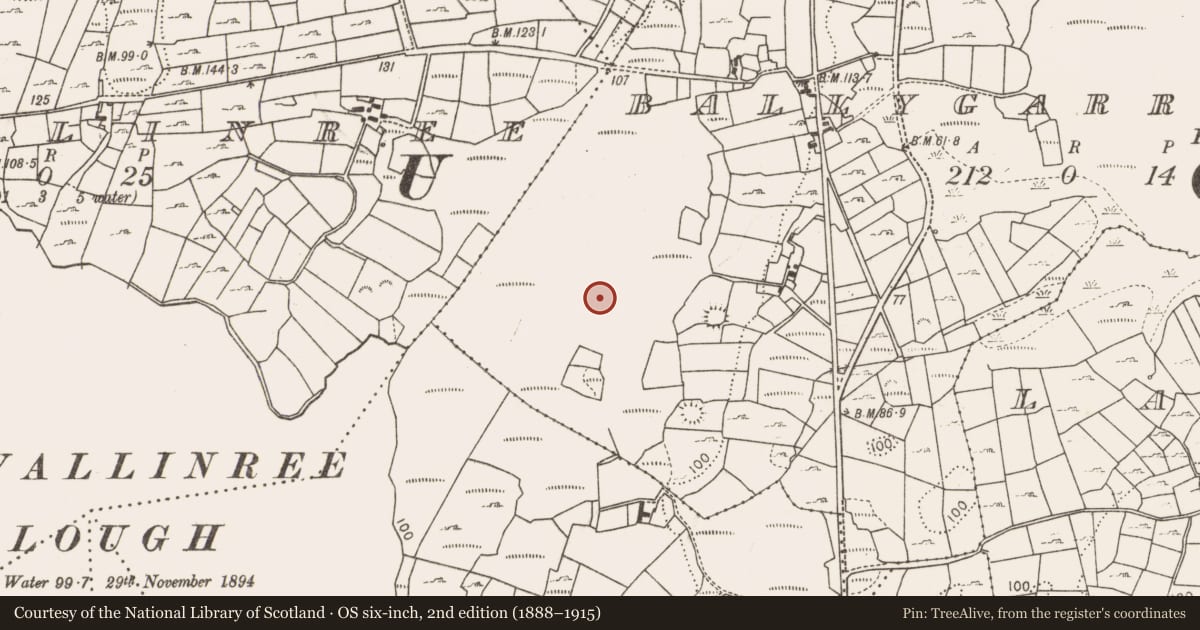 Ordnance Survey six-inch map, 2nd edition (1888–1915) covering the location of Field system, Ballygarriff, County Mayo, with a pin at the register's coordinates