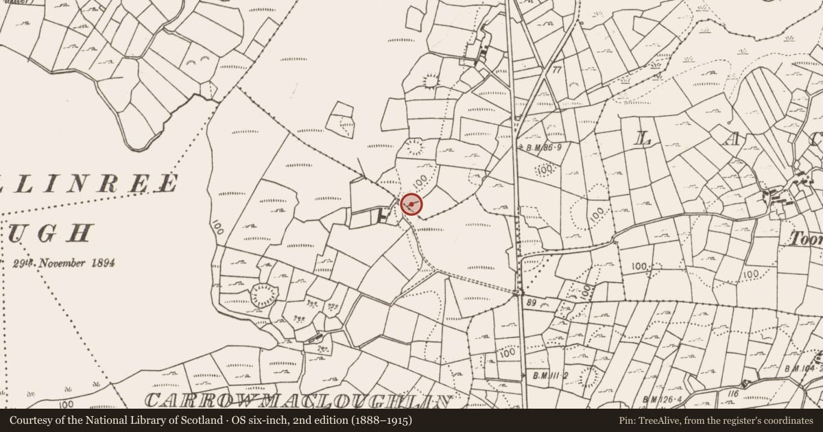 Ordnance Survey six-inch map, 2nd edition (1888–1915) covering the location of Burnt mound, Ballygarriff, County Mayo, with a pin at the register's coordinates