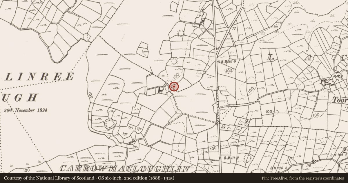 Ordnance Survey six-inch map, 2nd edition (1888–1915) covering the location of Burnt mound, Ballygarriff, County Mayo, with a pin at the register's coordinates