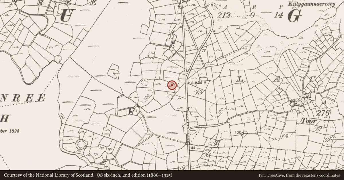 Ordnance Survey six-inch map, 2nd edition (1888–1915) covering the location of Burnt pit, Ballygarriff, County Mayo, with a pin at the register's coordinates